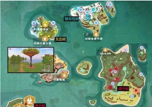 《创造与魔法》龙血树种子怎么找