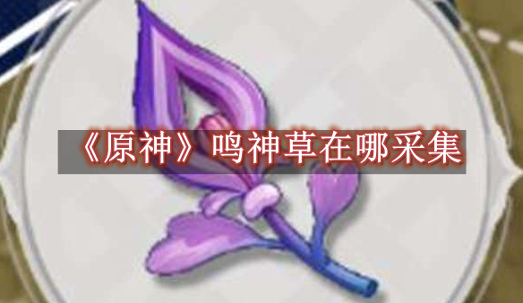 原神鸣神草在哪采集 原神鸣神草采集位置一览
