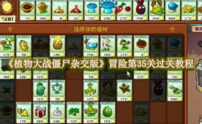 植物大战僵尸杂交版冒险第35关怎么过关 植物大战僵尸杂交版冒险第35关过关教程一览
