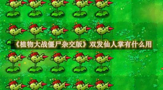 植物大战僵尸杂交版双发仙人掌有什么用 植物大战僵尸杂交版双发仙人掌作用一览