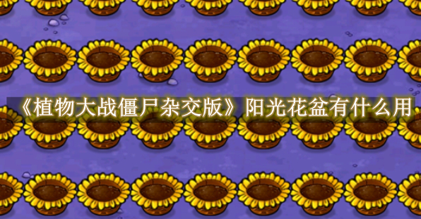 植物大战僵尸杂交版阳光花盆有什么用 植物大战僵尸杂交版阳光花盆基本介绍
