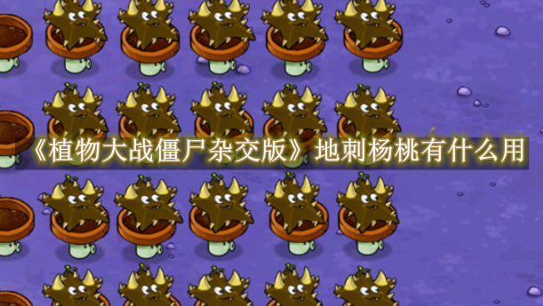植物大战僵尸杂交版地刺杨桃有什么用 植物大战僵尸杂交版地刺杨桃作用一览