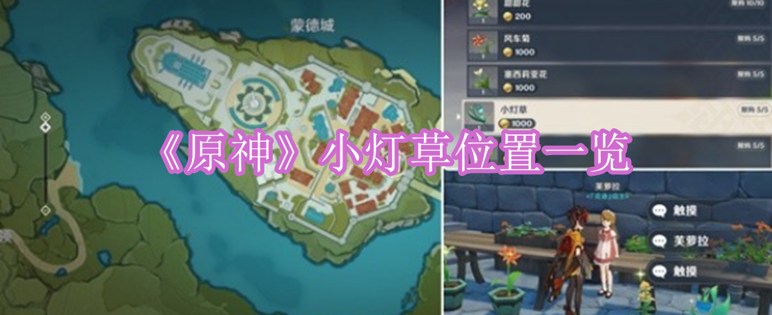 原神小灯草位置在哪 原神小灯草位置一览