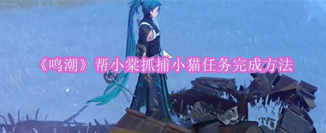 《鸣潮》帮小棠抓捕小猫任务完成方法