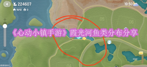 《心动小镇手游》霞光河鱼类分布分享