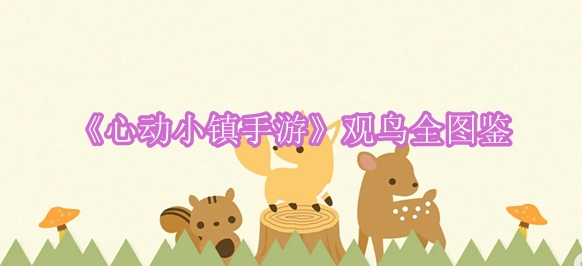 《心动小镇手游》观鸟全图鉴