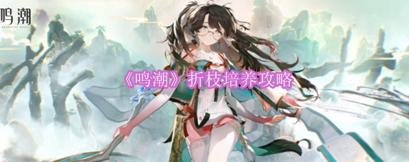 《鸣潮》折枝培养攻略