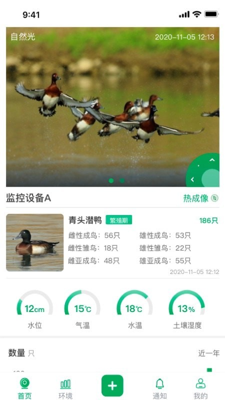 青头潜鸭截图(4)