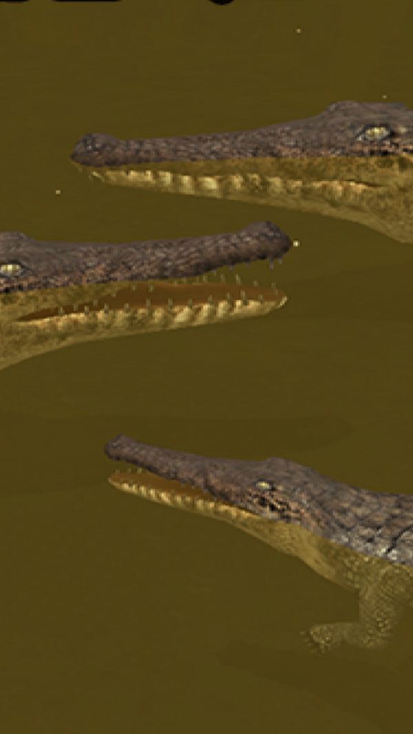 鳄鱼模拟器截图(1)