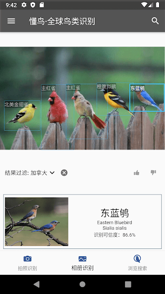 懂鸟全球截图(2)