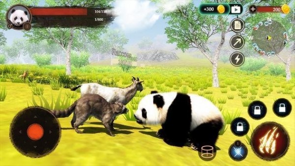 大熊猫狩猎截图(2)