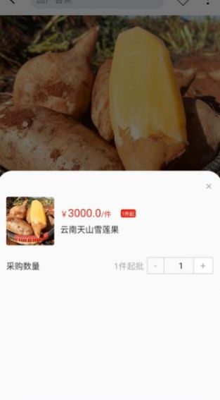 天蕉云果截图(1)