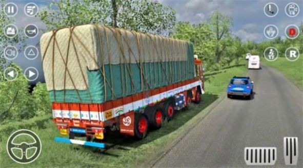 巴基斯坦卡车驾驶模拟截图(1)