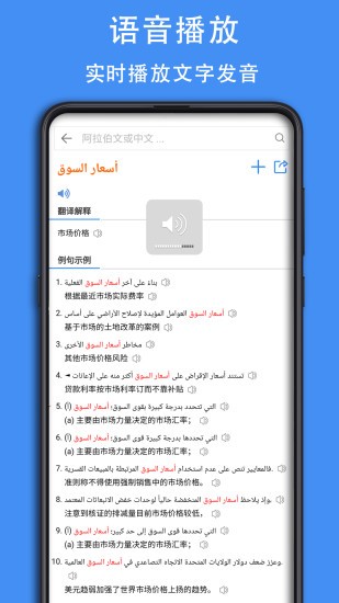阿拉伯语词典截图(1)