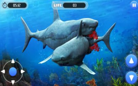 白鲨攻击任务3D截图(3)