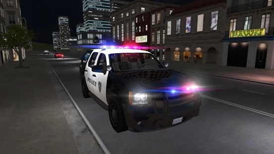 美国警察驾驶模拟器截图(3)