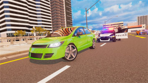 警车模拟驾驶截图(1)