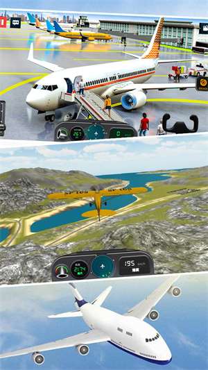 模拟真实飞机飞行截图(2)