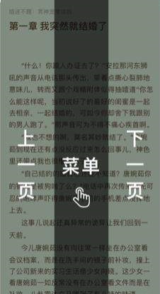 皮皮阅读app下载安装截图(1)