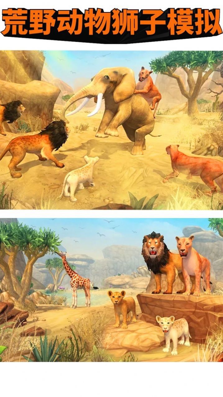荒野动物狮子模拟截图(2)