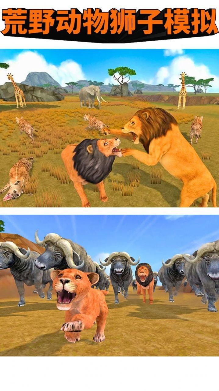 荒野动物狮子模拟截图(3)