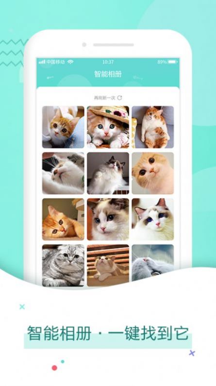 猫与翻译器app截图(3)