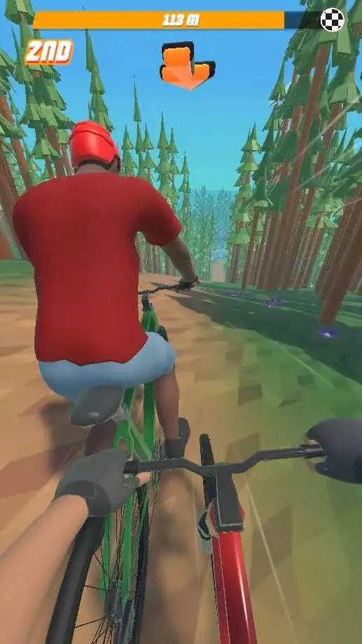 自行车山地赛3D最新版截图(2)