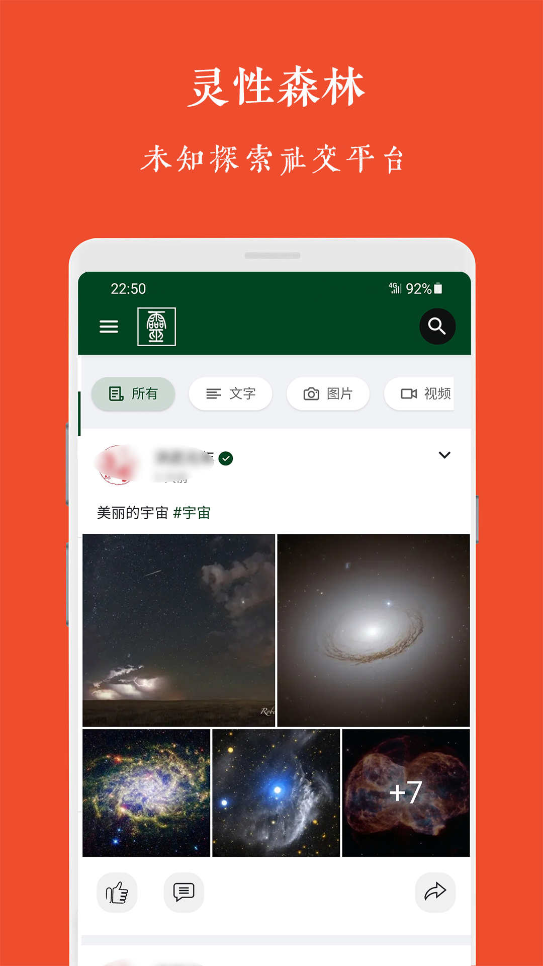 灵性森林截图(2)