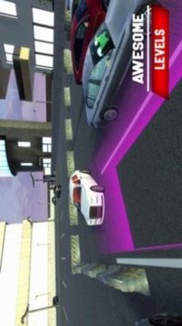 豪华停车模拟截图(3)