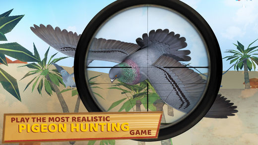 鸽子狩猎3D截图(1)