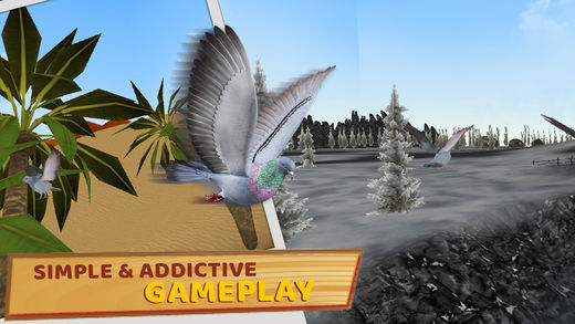 鸽子狩猎3D截图(2)