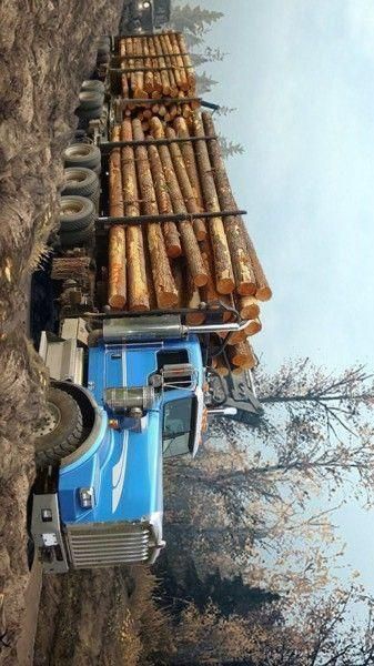 伐木货运卡车运输模拟器图3