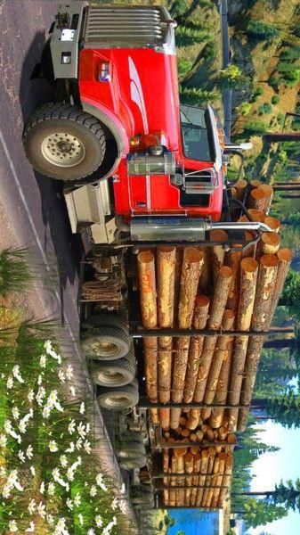 伐木货运卡车运输模拟器图4