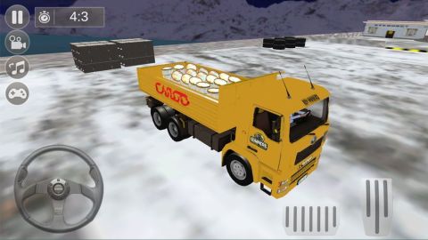 卡车野外运输模拟截图(2)