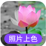 照片上色免费下载