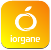 桔子水杯 桔子水杯