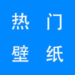 2022热门壁纸软件