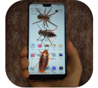 虫子整蛊模拟器