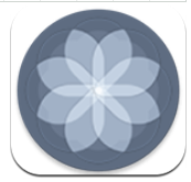 不规则风格图标包