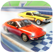 汽车冬季运动赛