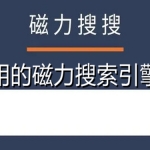 最好用的磁力搜索有哪些