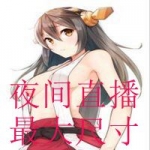 夜间直播最大尺寸下载排行榜