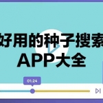好用的种子搜索APP大全