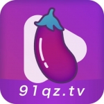 91茄子视频破解无线观看