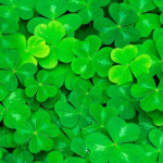 保护眼睛的软件有哪些