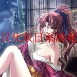 汉化版日系单机手机游戏