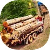 牵引卡车驾驶模拟器 牵引卡车驾驶模拟器