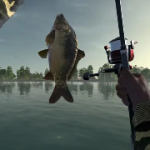 超级好玩的垂钓游戏大合集