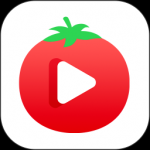 和番茄视频一样火的网站