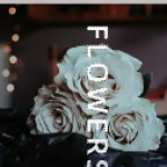 水印相机APP大全